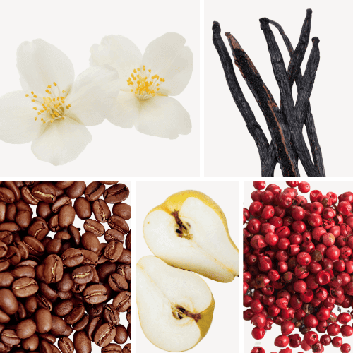 Duftnoten: Vanille, Kaffee, Jasmin, Birne, rosa Pfeffer